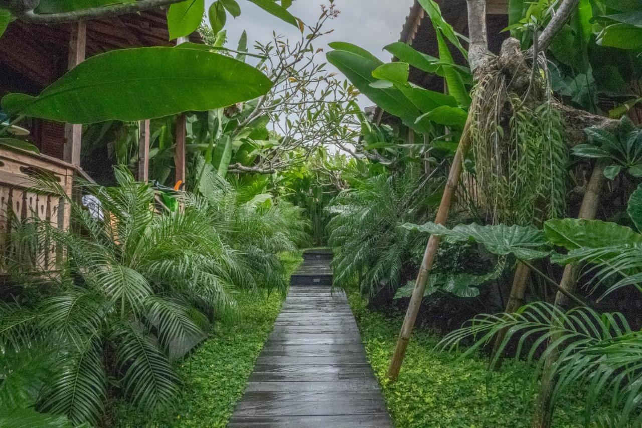 Bajalo Cottage Canggu 외부 사진